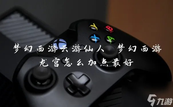 梦幻西游云游仙人 梦幻西游龙宫怎么加点最好