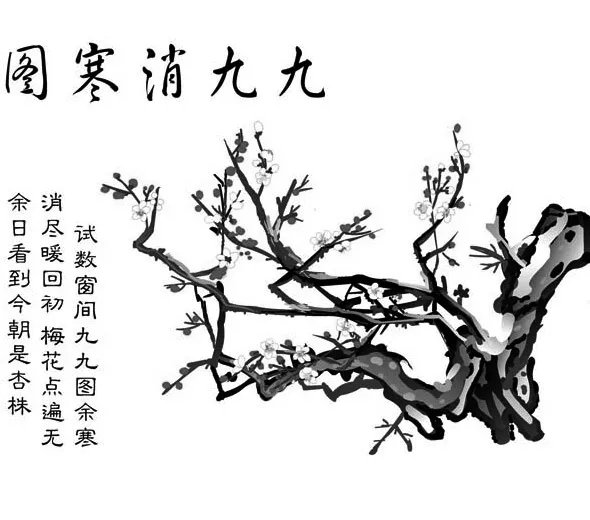 2019数九天时间表