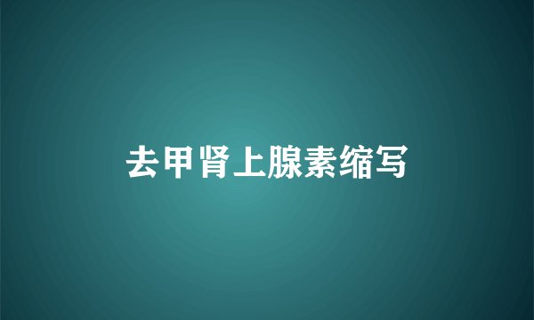 去甲肾上腺素缩写