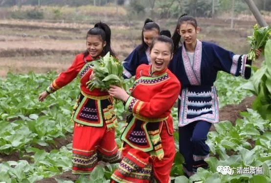 清远二日游有什么路线推荐？