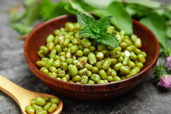 吃药能吃绿豆吗