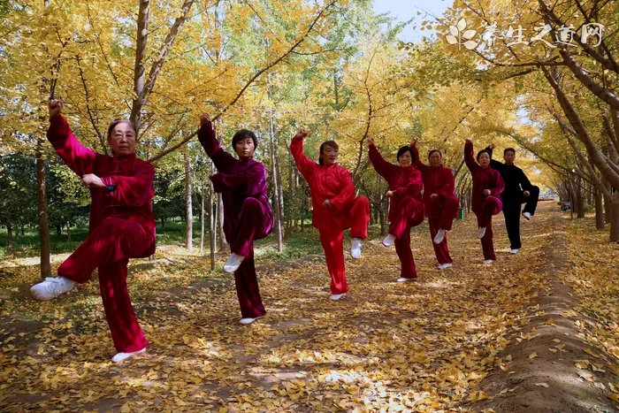 宫廷生子秘方大全