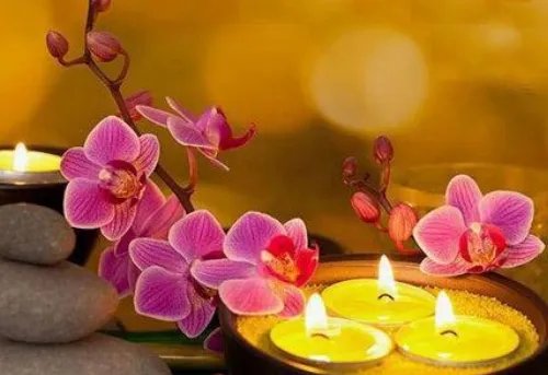 婚姻不好是因为什么因果 佛说婚姻不顺的原因