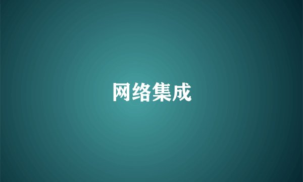 网络集成