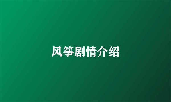 风筝剧情介绍
