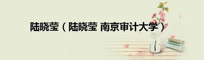 陆晓莹（陆晓莹 南京审计大学）