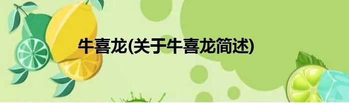 牛喜龙(关于牛喜龙简述)