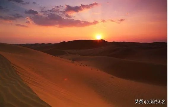 邱印林被顶替事件