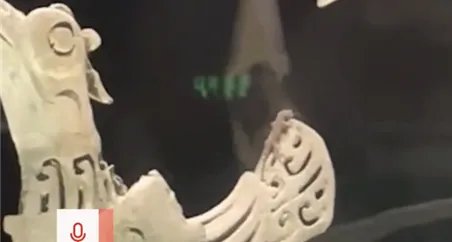 三星堆青铜神树上有只壁虎 官方回应:已处理