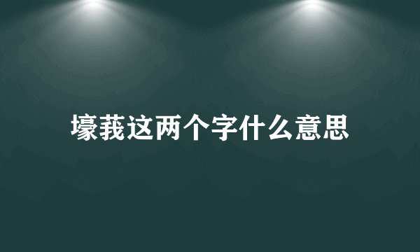壕莪这两个字什么意思