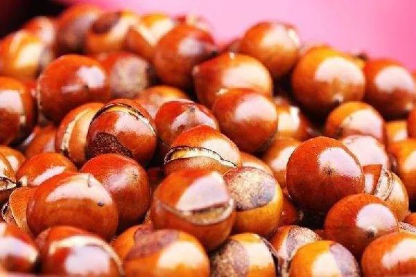 经常熬夜伤身体怎么办   这些食物要多吃