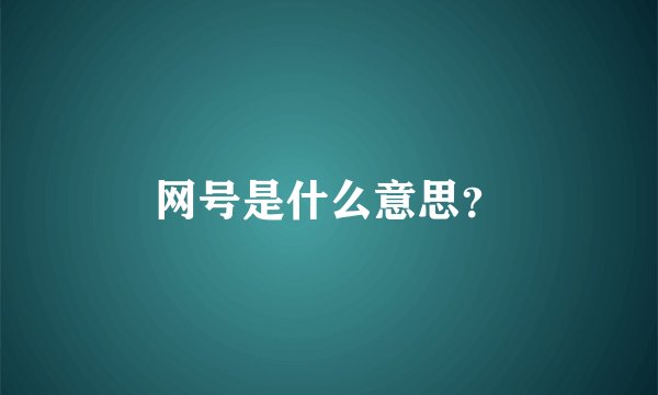 网号是什么意思？