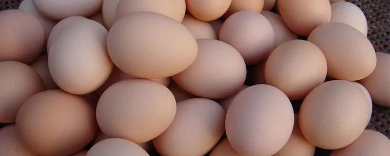 椭圆形的东西有哪些 椭圆形的东西有什么