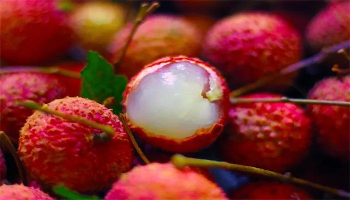 专家建议成人每日吃荔枝不超十颗是什么情况 专家建议成人每日吃荔枝不超十颗