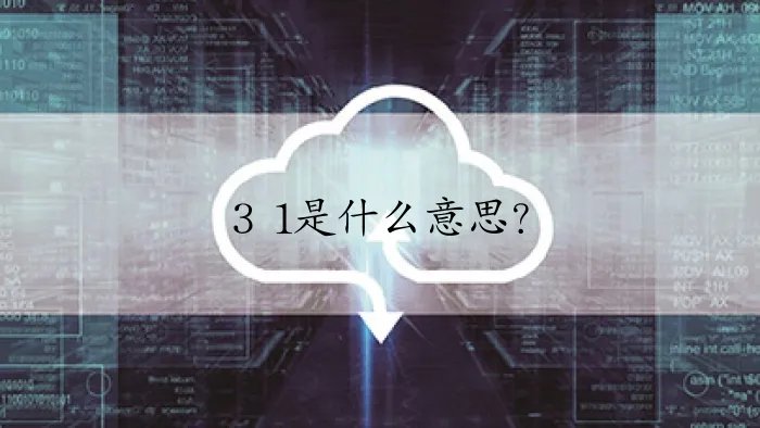 3 1是什么意思？