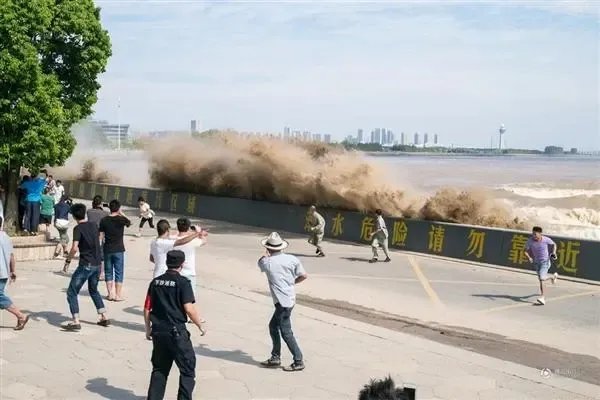 警方连续三年钱塘江观潮时抓住逃犯，钱塘江魅力到底有多大？