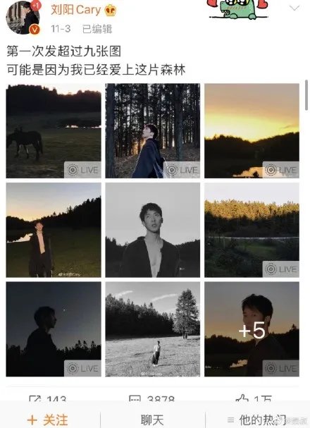 半藏森林梗介绍