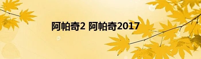 阿帕奇2 阿帕奇2017