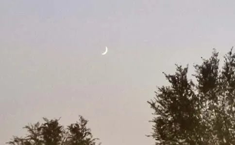 月亮的味道作文