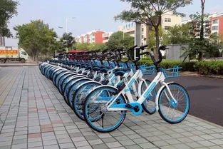 上海哈啰单车半小时收费2.5元，你还会选择单车出行吗？