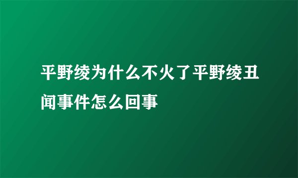 平野绫为什么不火了平野绫丑闻事件怎么回事