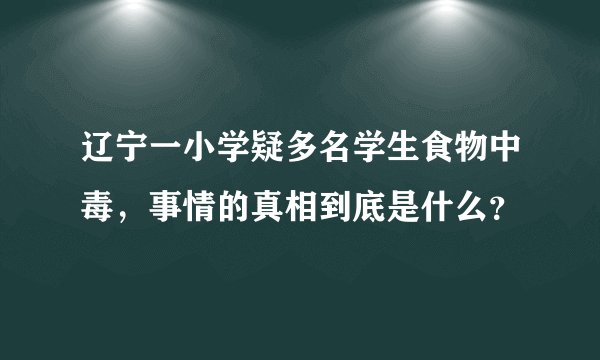 辽宁一小学疑多名学生食物中毒，事情的真相到底是什么？