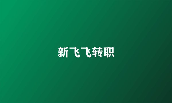 新飞飞转职