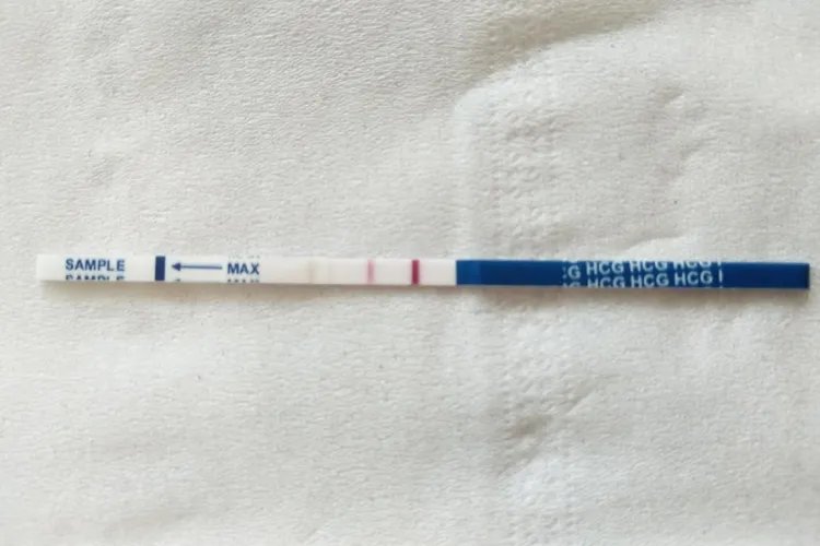 早期怀孕试纸测出来效果图片