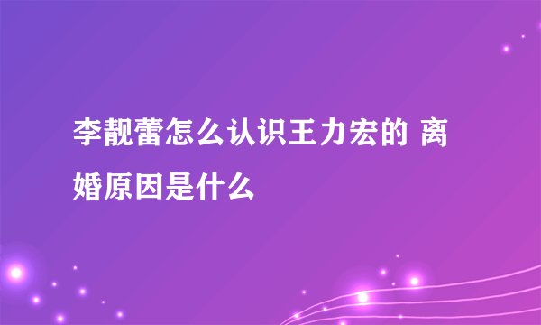 李靓蕾怎么认识王力宏的 离婚原因是什么