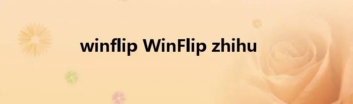 winflip WinFlip zhihu