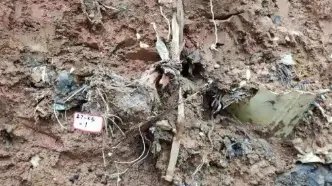 东航坠机事故救援现场发现有一定浓度可燃气体，这些气体来自哪里？