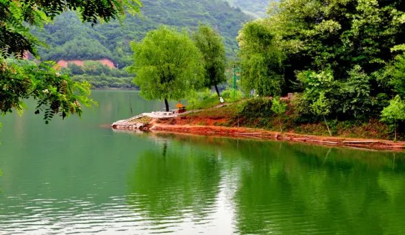 男人梦见蛇打架是什么意思 男人梦见蛇打架有什么预兆