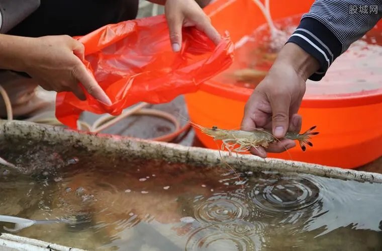 永辉盒马等超市全面下架南美虾类 受疫情影响