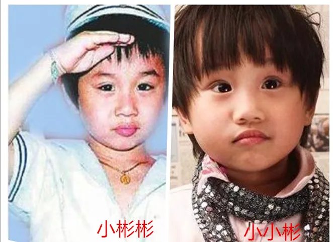 小彬彬小小彬太像了 小彬彬和小小彬对比照竟然一样