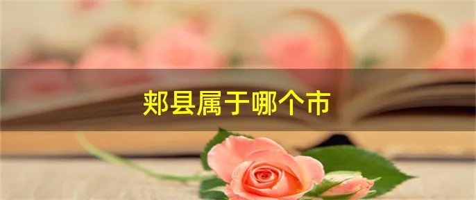 郏县属于哪个市