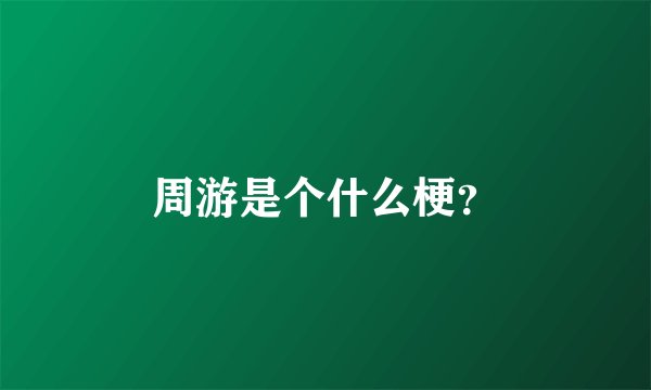 周游是个什么梗？