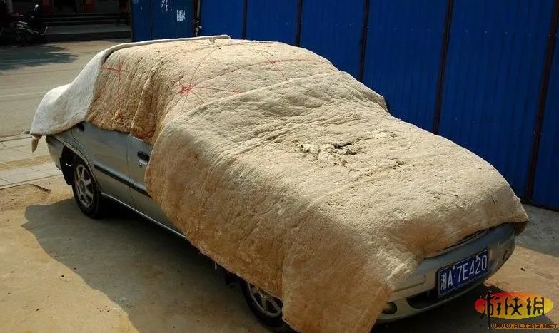 晒没?盘点“中国式晾晒”比“过马路”更壮观