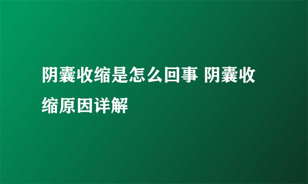 阴囊收缩是怎么回事 阴囊收缩原因详解