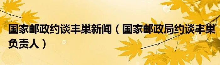 国家邮政约谈丰巢新闻（国家邮政局约谈丰巢负责人）