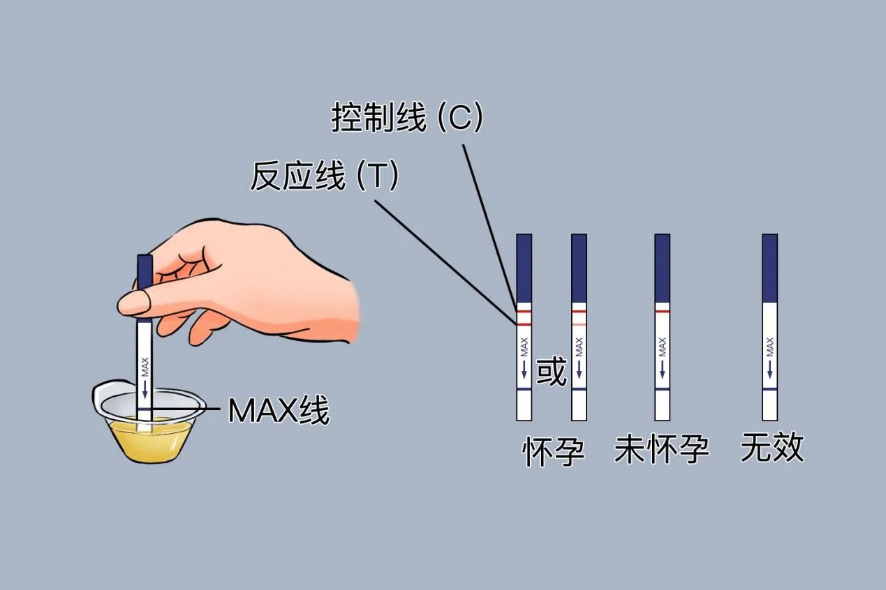 验孕棒一条杠一片散红图片