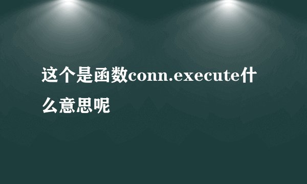 这个是函数conn.execute什么意思呢