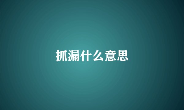 抓漏什么意思