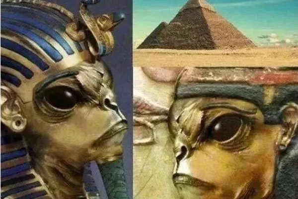 人类杀死了地球原住民 谁才是地球真正的主人不好说