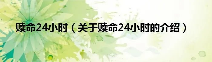 赎命24小时（关于赎命24小时的介绍）
