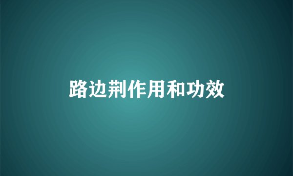 路边荆作用和功效