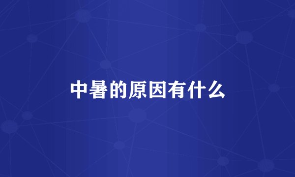 中暑的原因有什么