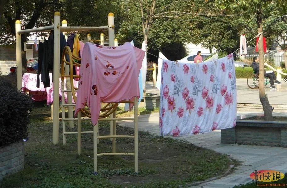 晒没?盘点“中国式晾晒”比“过马路”更壮观