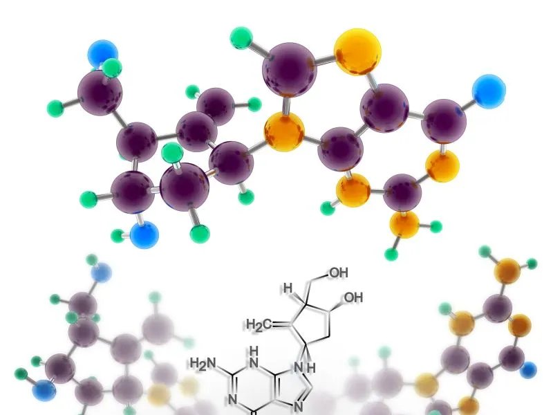 无创产前基因检测的内容