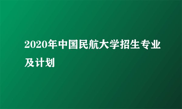 2020年中国民航大学招生专业及计划