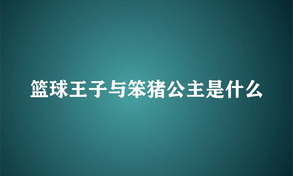 篮球王子与笨猪公主是什么